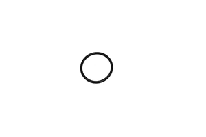 *VALVE O'RING SEAL